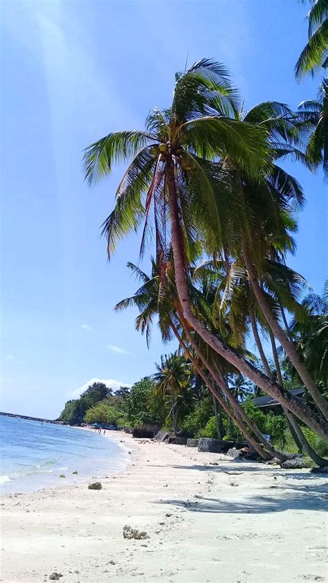 Dalaguete .